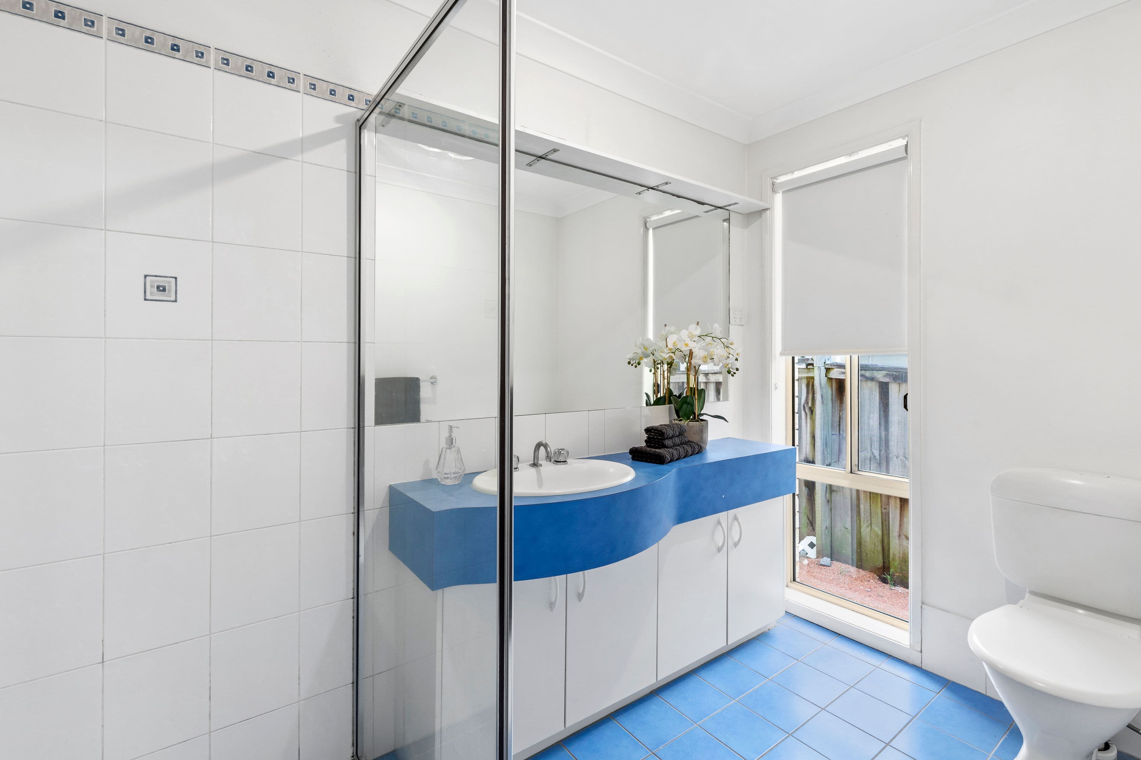 12 Arnold Place, Glenwood NSW 2768, Glenwood - Thumbnail 4