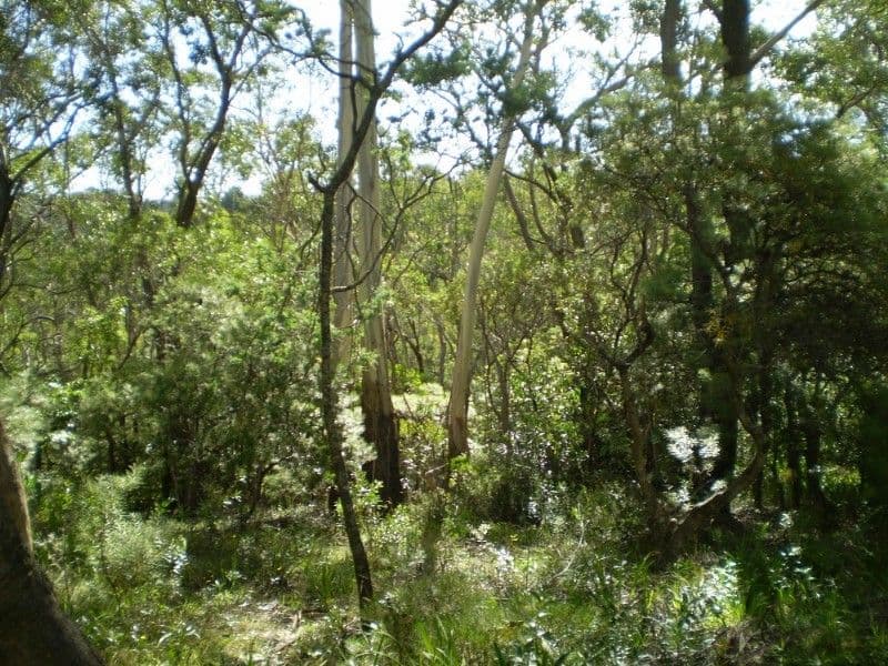 71 Loftus Street, KATOOMBA NSW 2780, Katoomba - Thumbnail 8