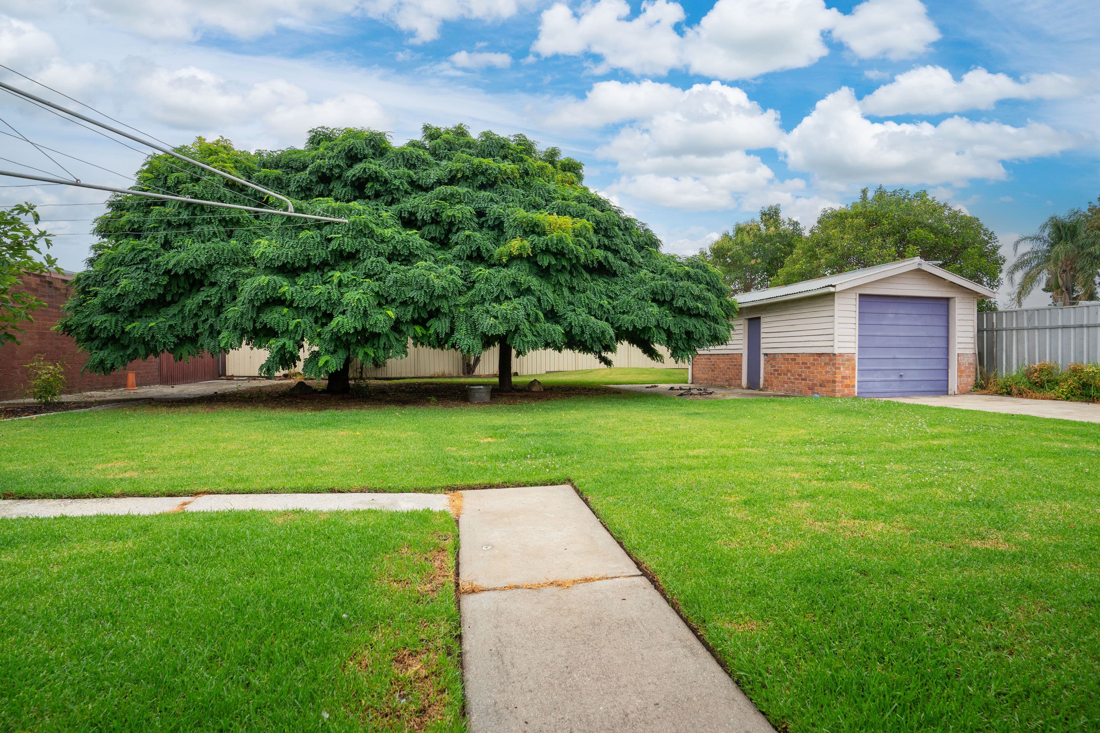 417 Kotthoff Street, Lavington NSW 2641, Lavington - Thumbnail 4