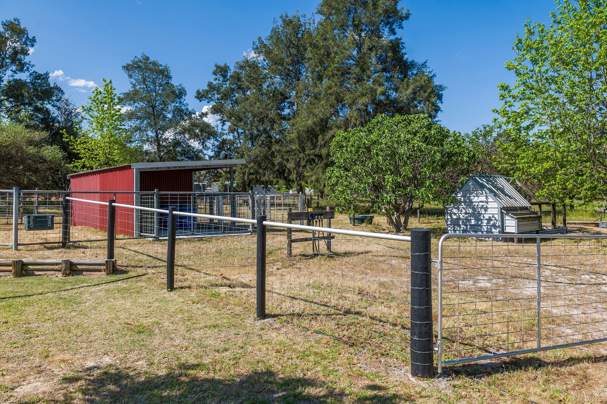 309 Ayrshire Loop, Lower Chittering WA 6084, Lower Chittering - Thumbnail 3