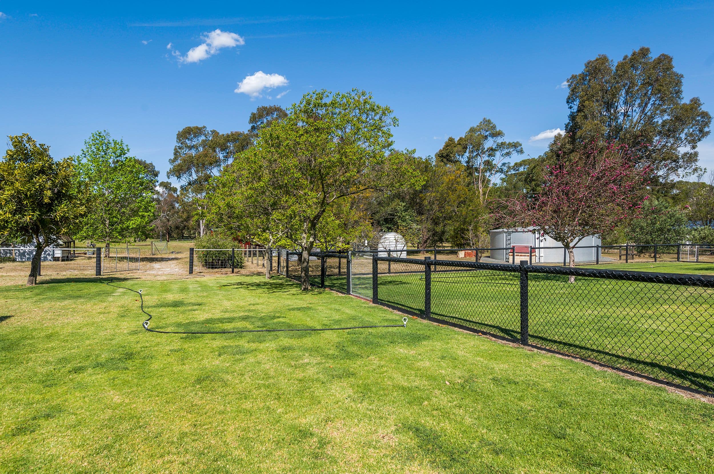 309 Ayrshire Loop, Lower Chittering WA 6084, Lower Chittering - Thumbnail 6
