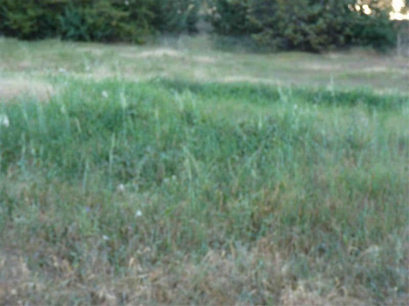 45 Atherton Crescent, TATTON NSW 2650, Tatton - Thumbnail 3