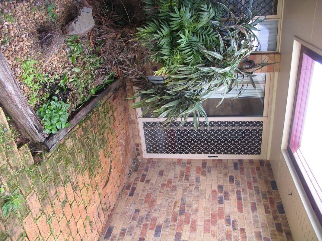 25 Danica Court, KEARNEYS SPRING QLD 4350, Kearneys Spring - Thumbnail 6