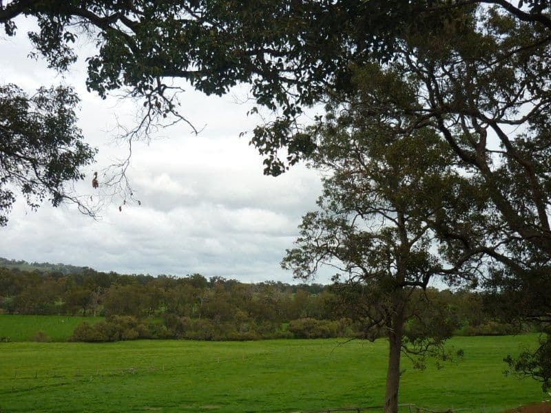 45 Watkins Road, MUNDIJONG WA 6123, Mundijong - Thumbnail 2