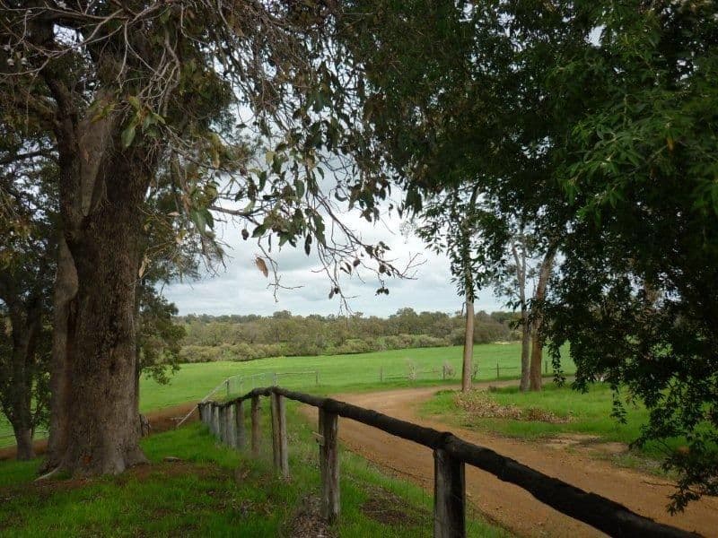 45 Watkins Road, MUNDIJONG WA 6123, Mundijong - Thumbnail 4