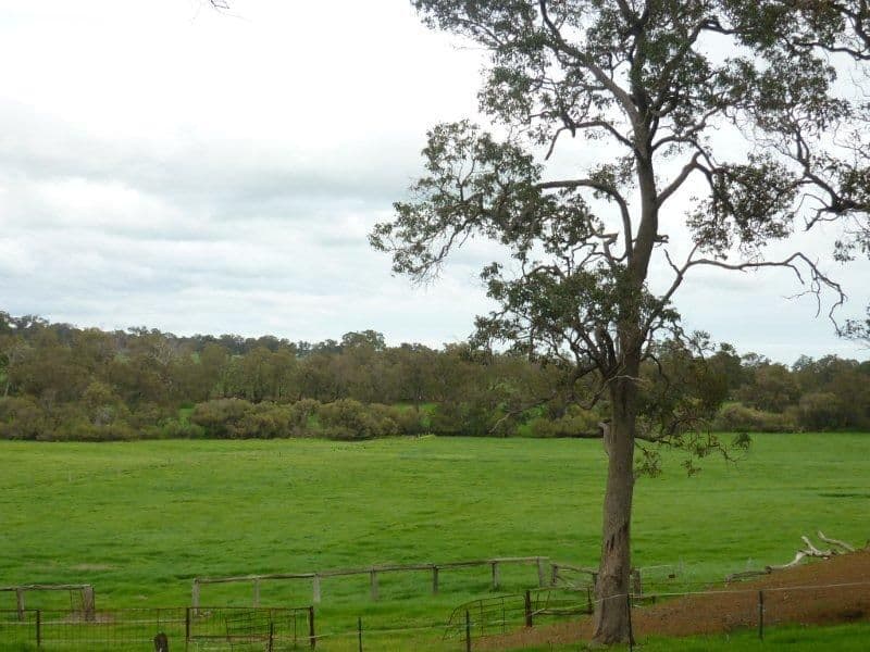 45 Watkins Road, MUNDIJONG WA 6123, Mundijong - Thumbnail 7