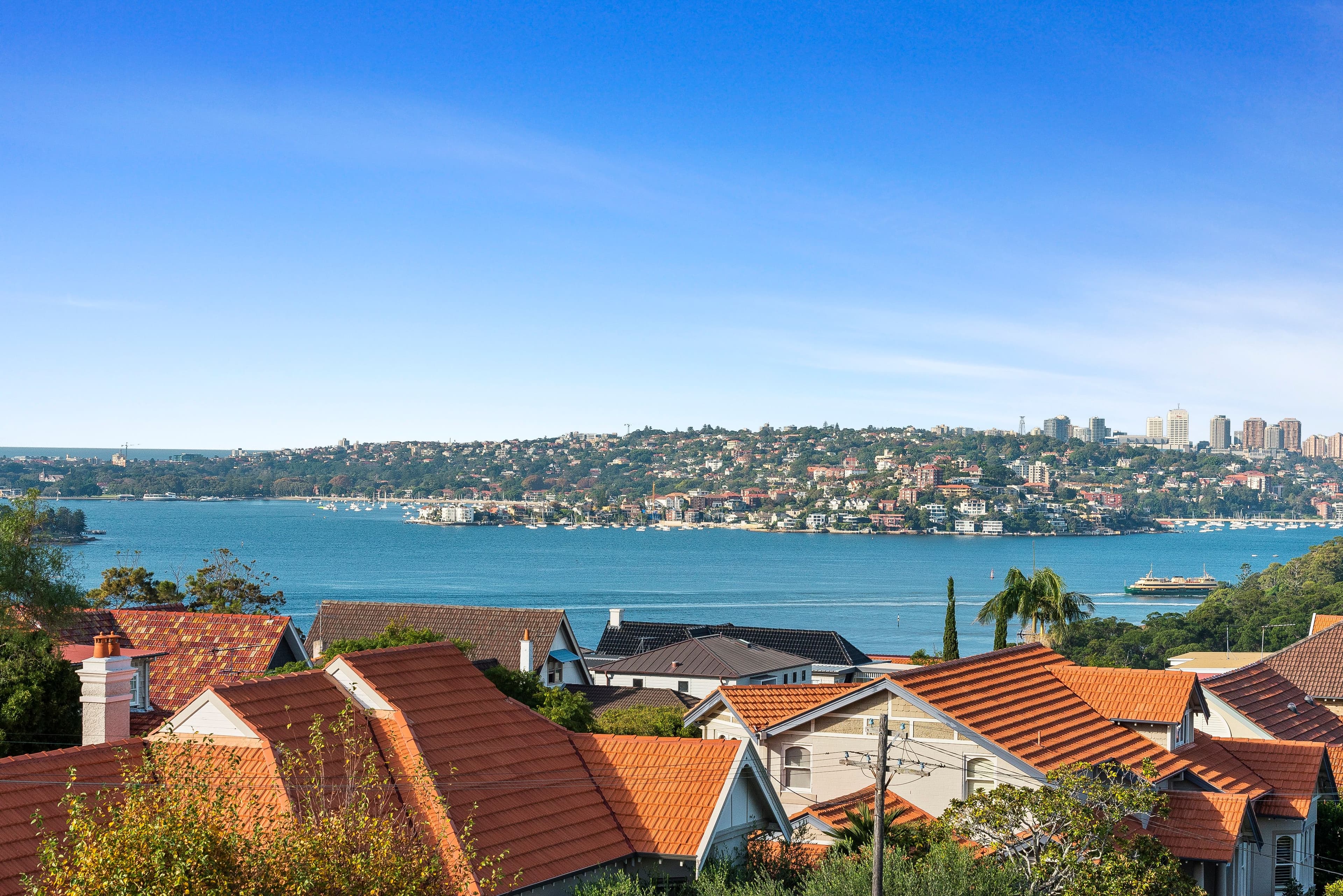 2 Thompson Street, Mosman - Thumbnail 3