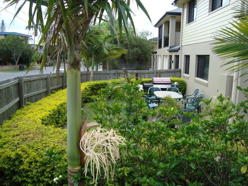 20 Robinson Street, COORPAROO QLD 4151, Coorparoo - Thumbnail 5