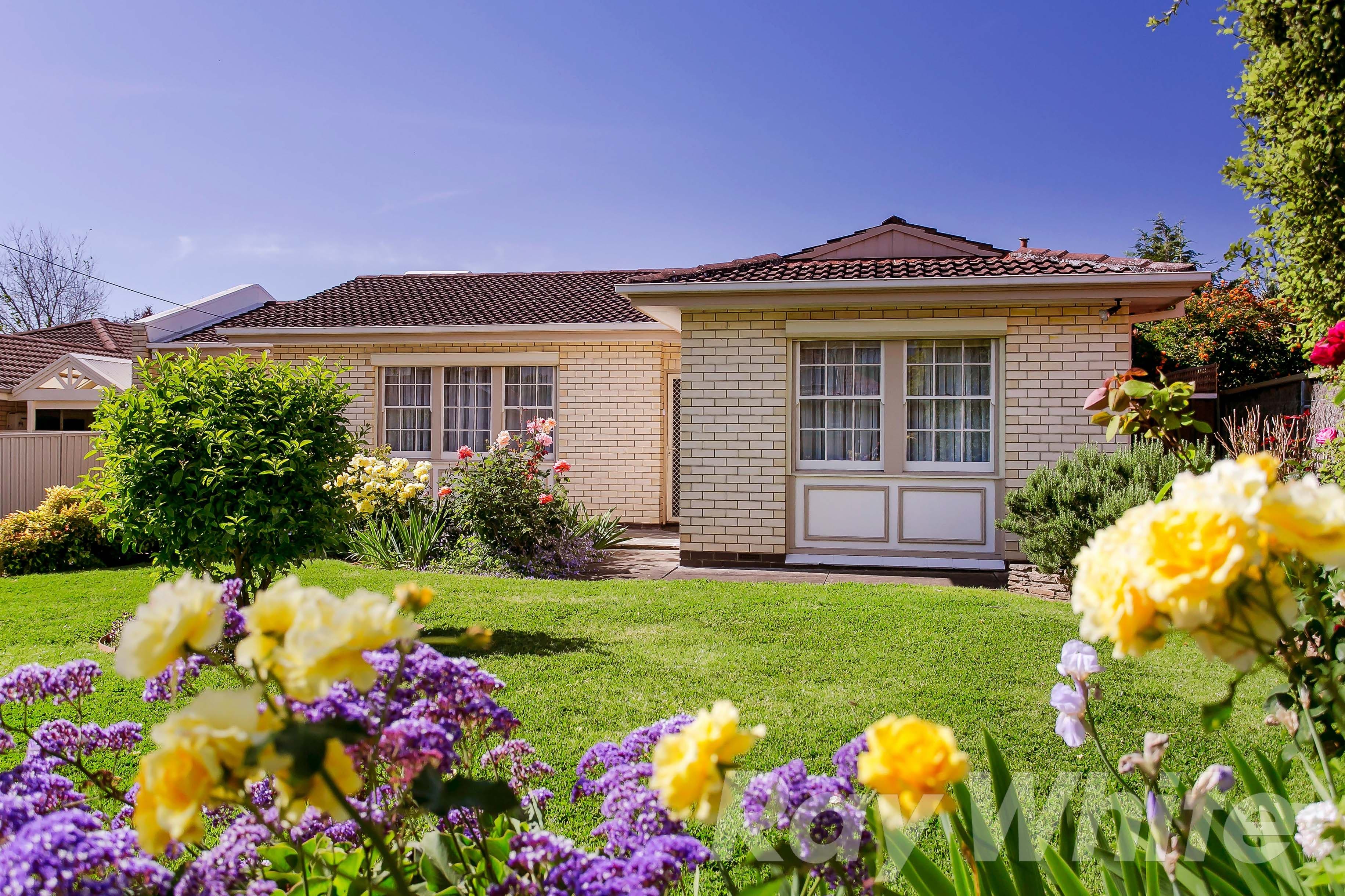 15 Mariner Street, Linden Park SA 5065, Linden Park - Image 1
