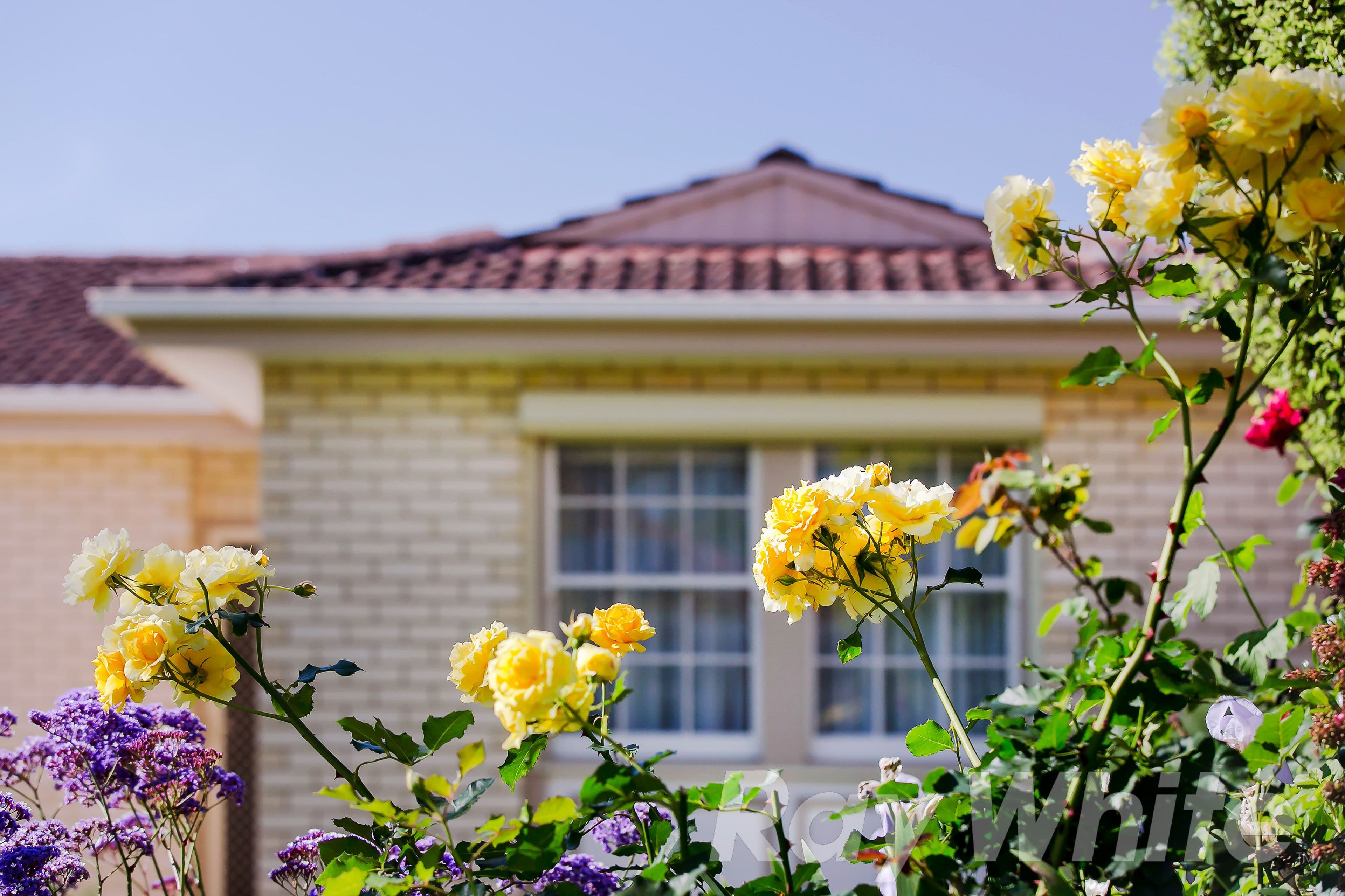 15 Mariner Street, Linden Park SA 5065, Linden Park - Thumbnail 3