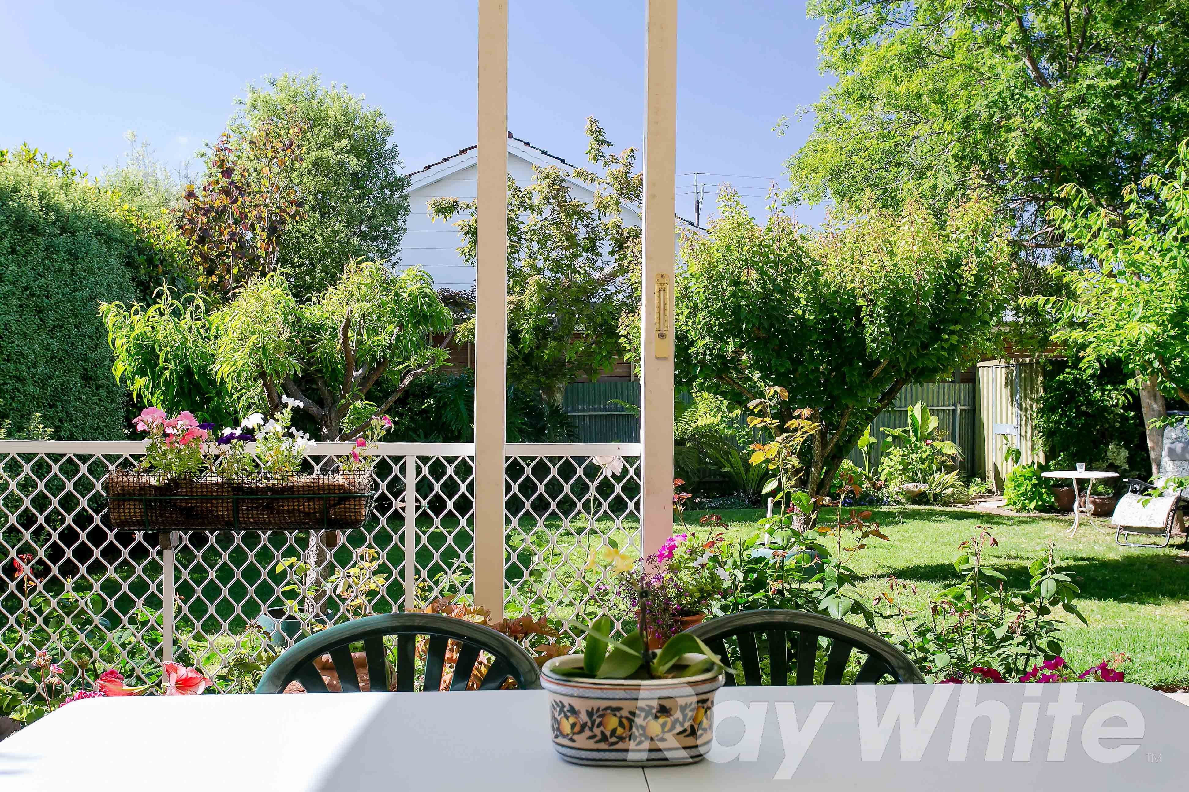 15 Mariner Street, Linden Park SA 5065, Linden Park - Thumbnail 5