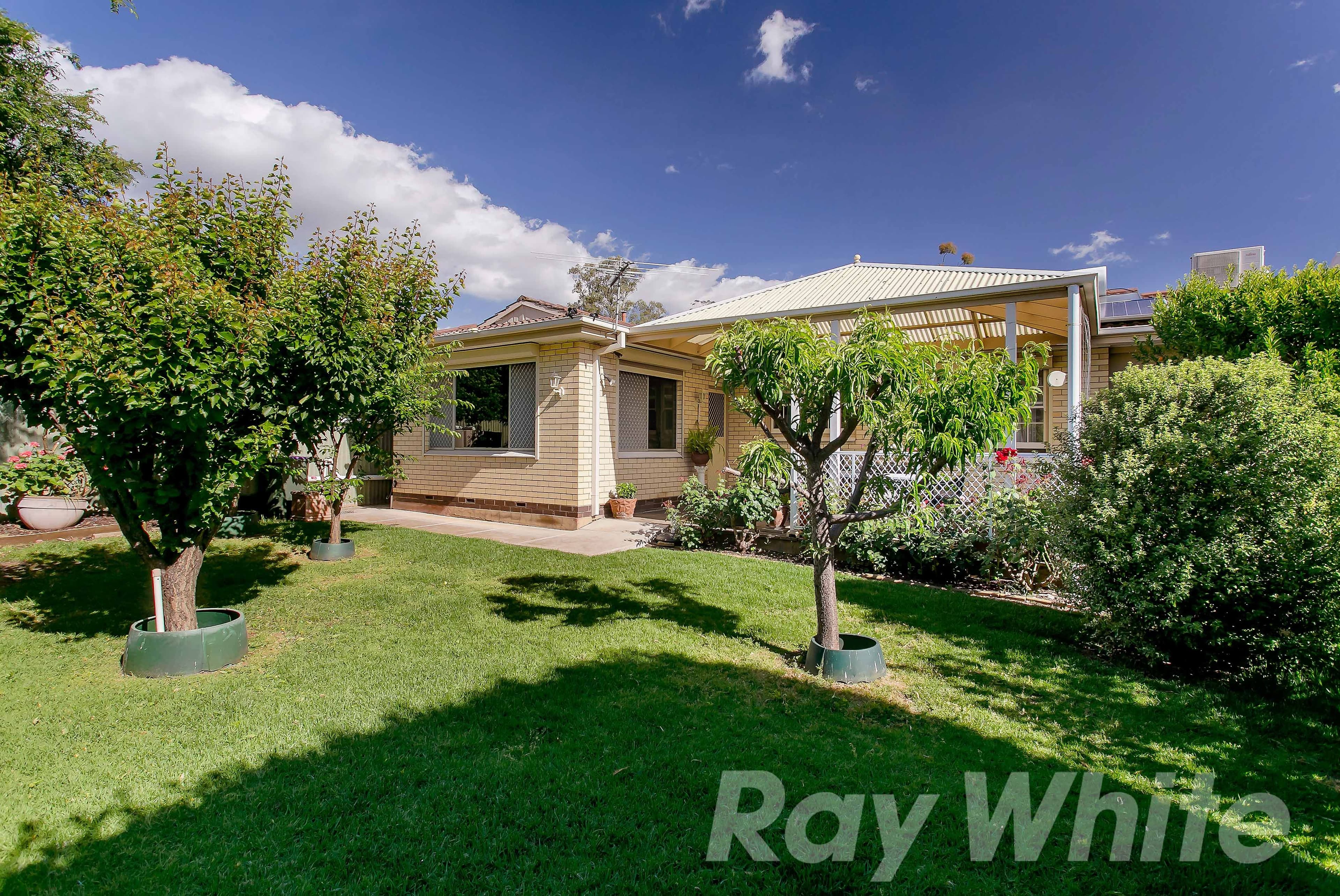 15 Mariner Street, Linden Park SA 5065, Linden Park - Thumbnail 8