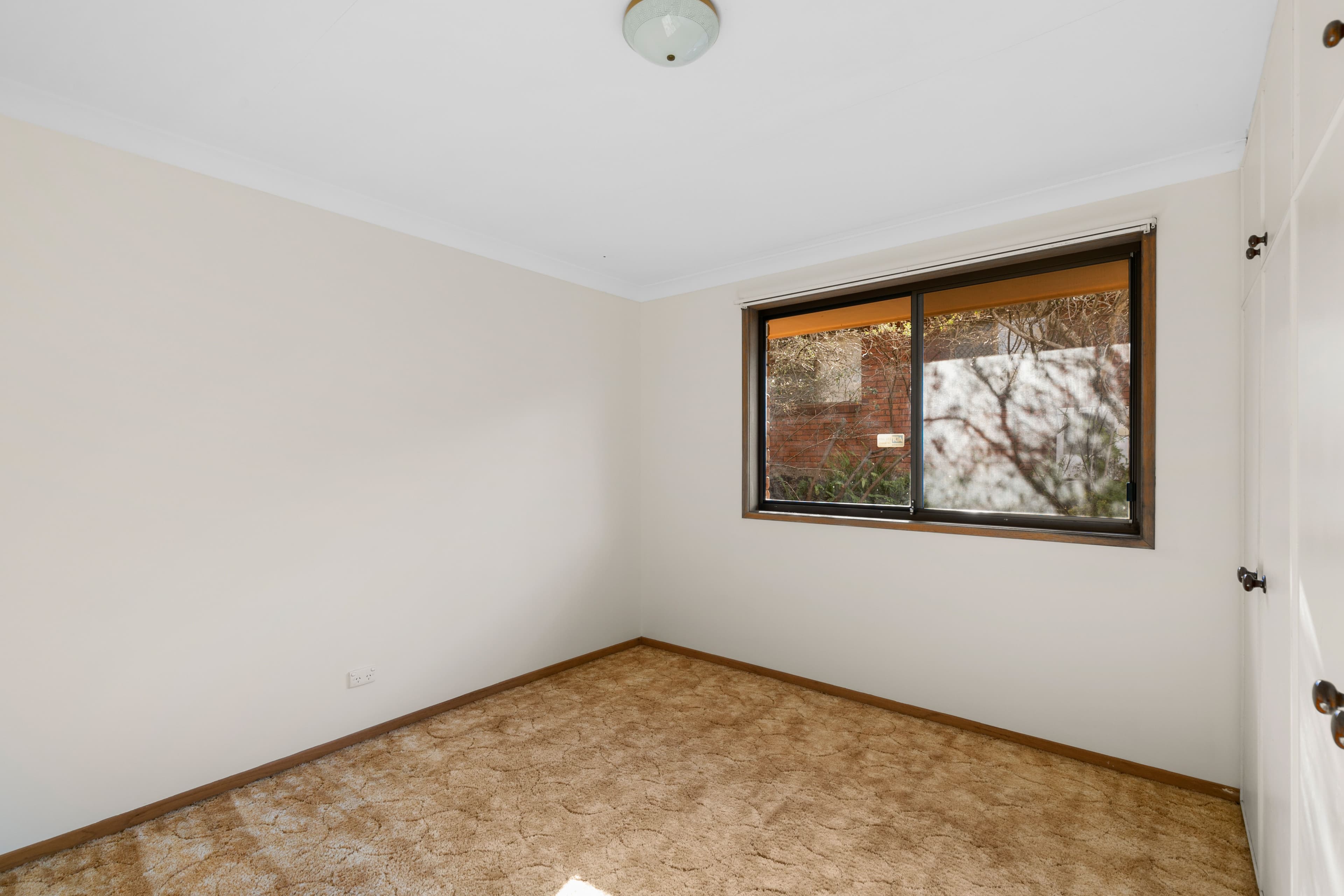 5 Karyn Street, Centenary Heights QLD 4350, Centenary Heights - Thumbnail 8