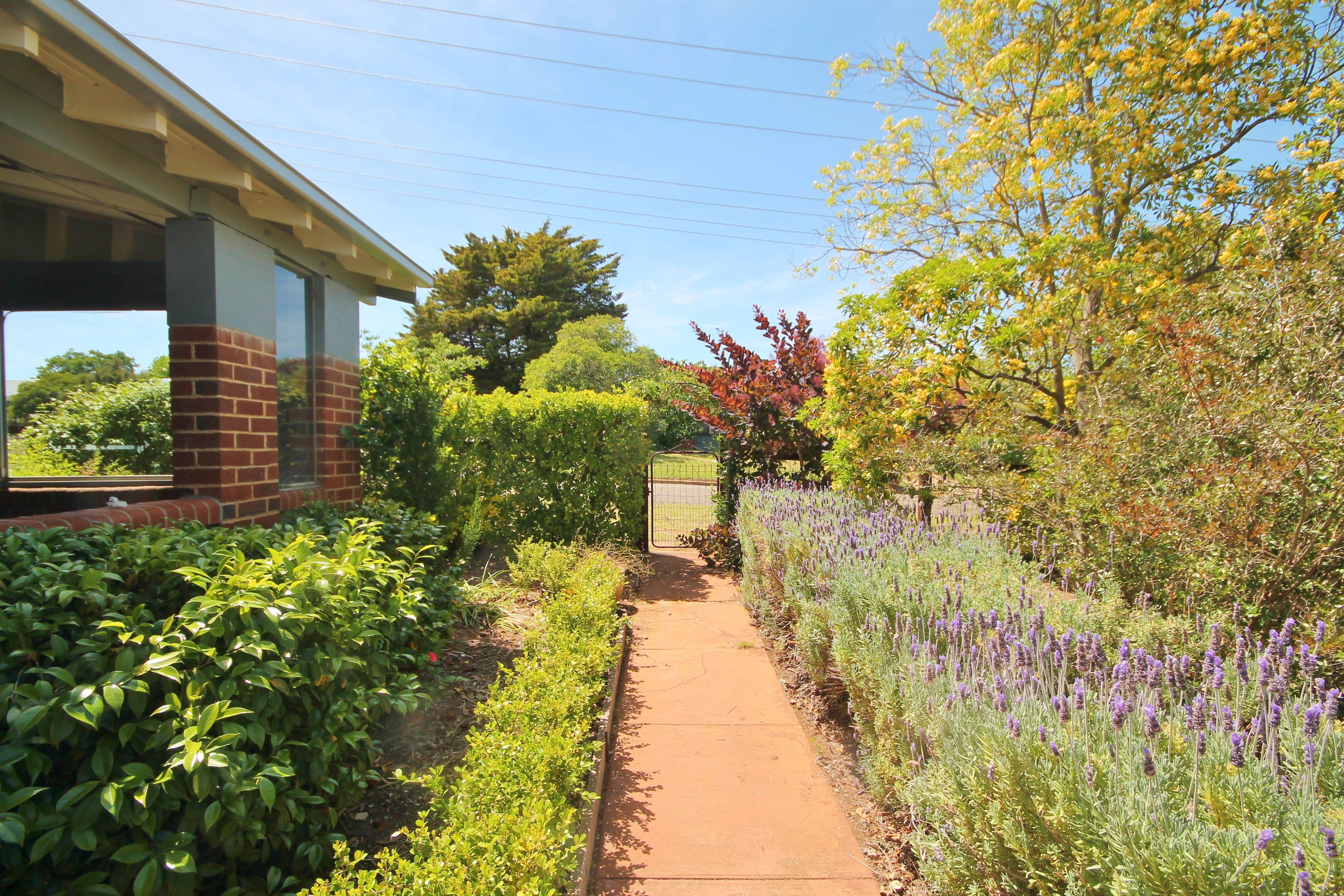 19 Taylor Road, Young - Thumbnail 4