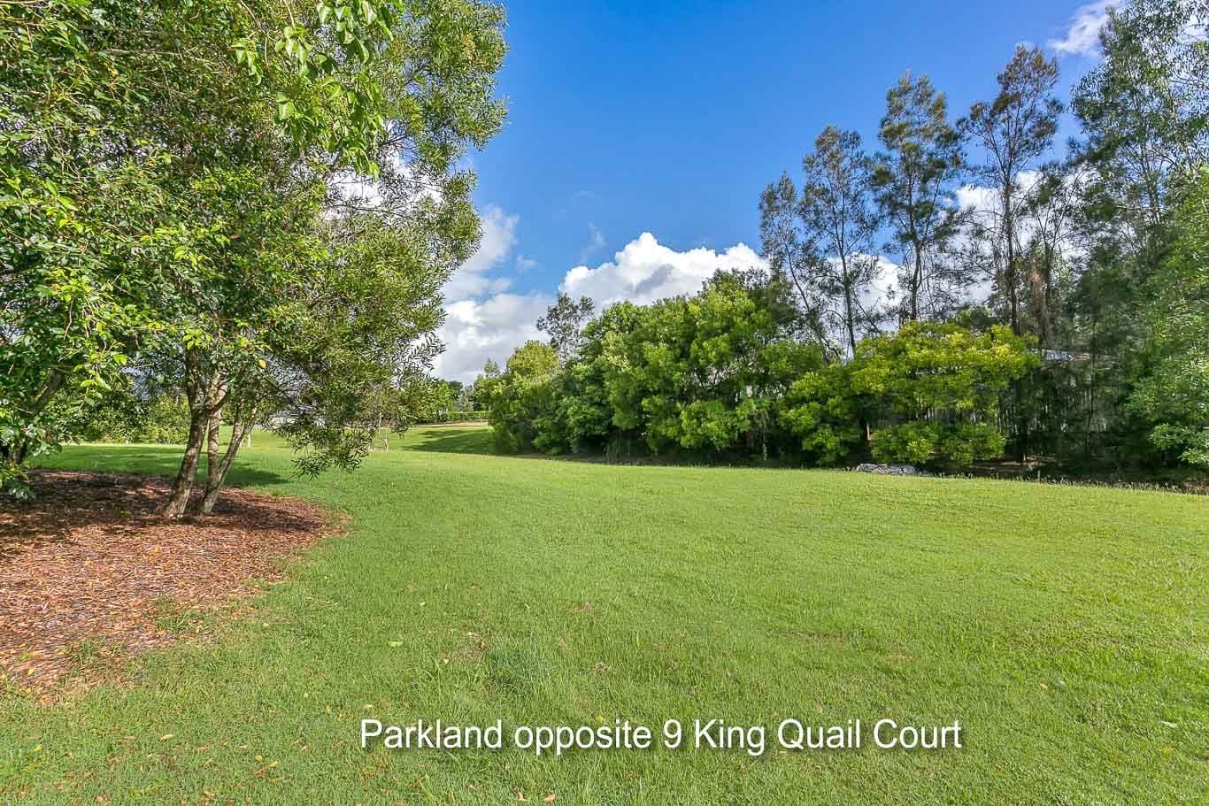 9 King Quail Court, Gilston QLD 4211, Gilston - Thumbnail 4