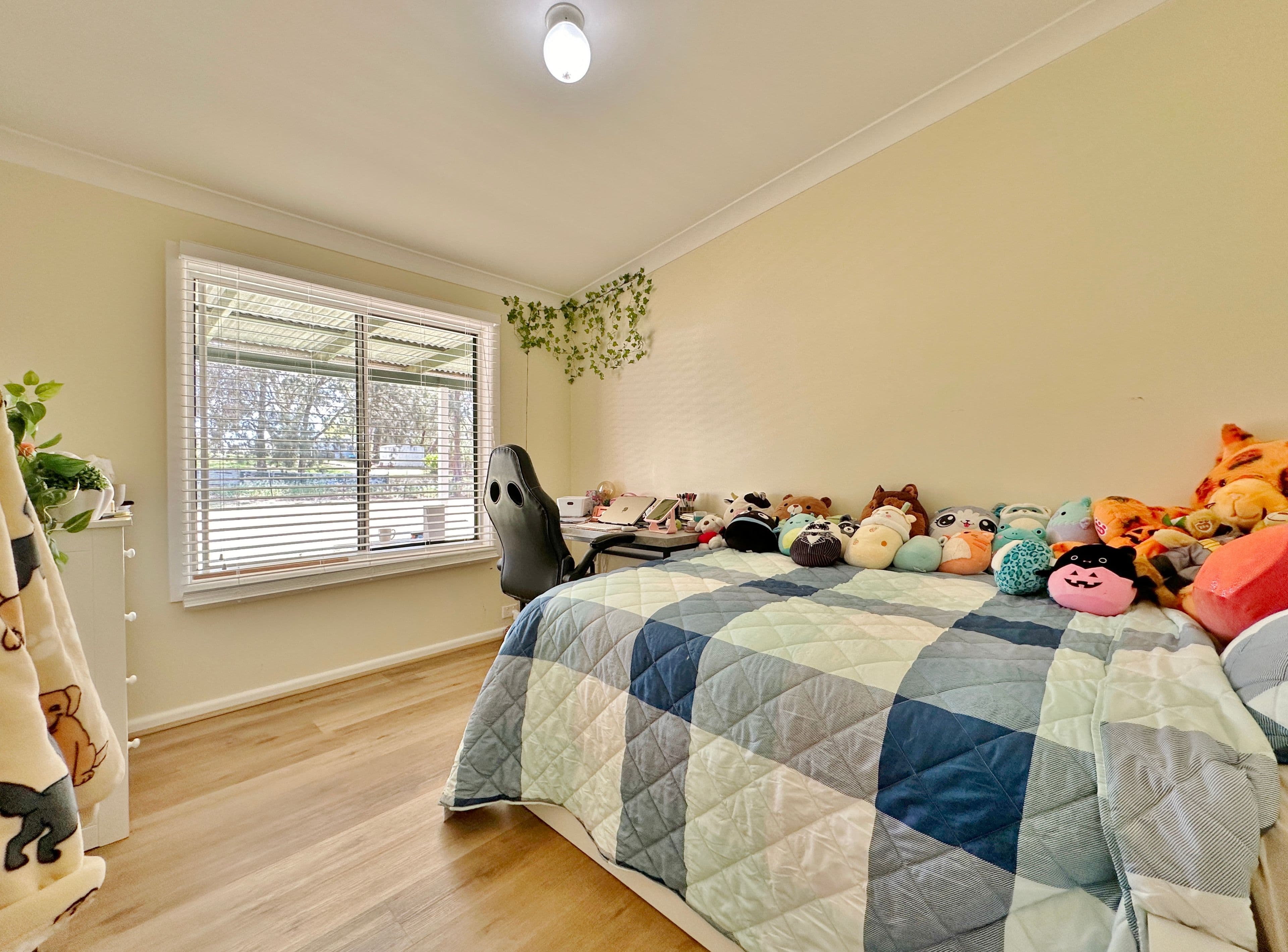 9 Belmore Street, Wombat, via, Young NSW 2594, Young - Thumbnail 8