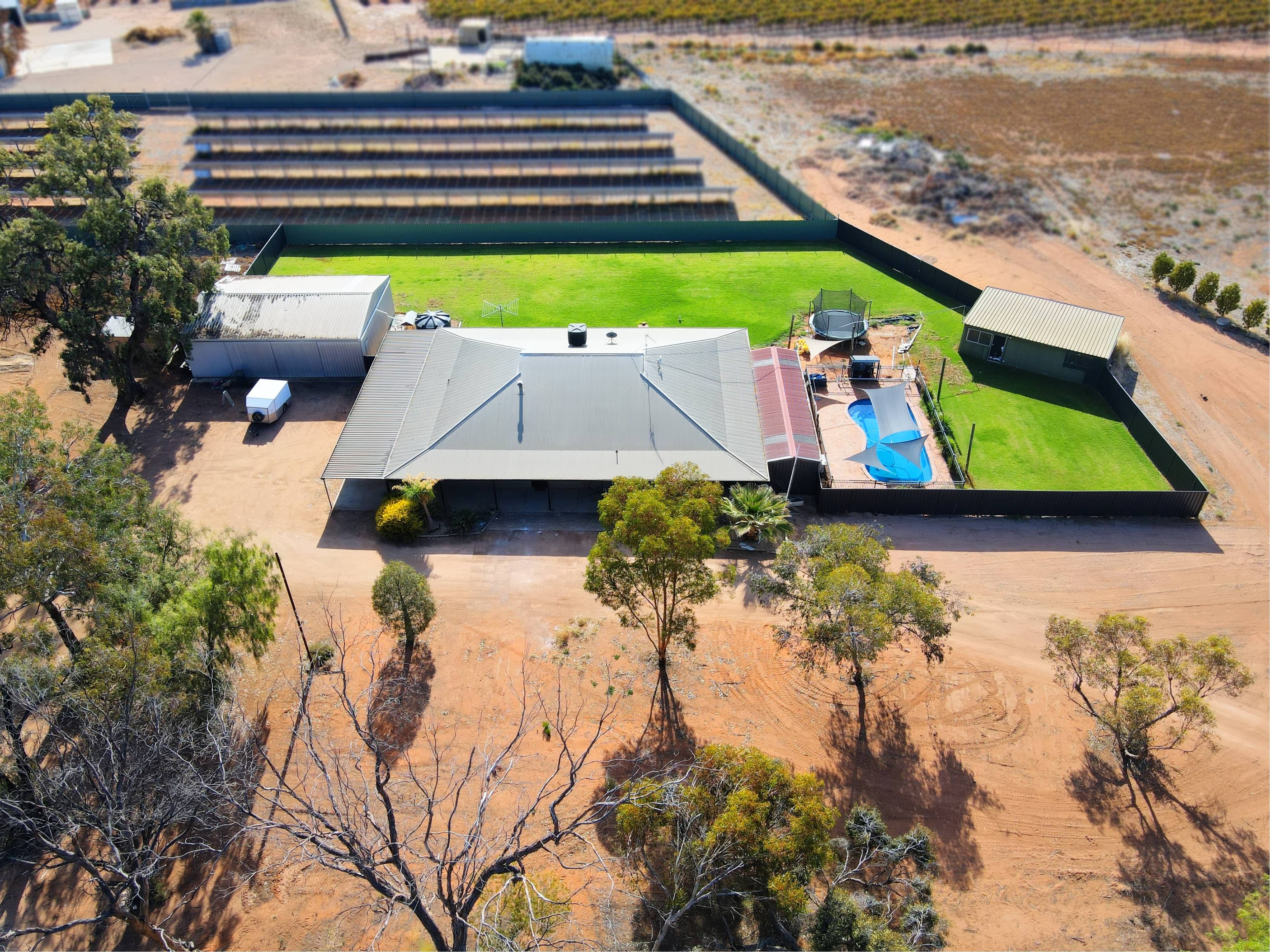 76 Chowilla Street, Renmark SA 5341, Renmark West - Thumbnail 3