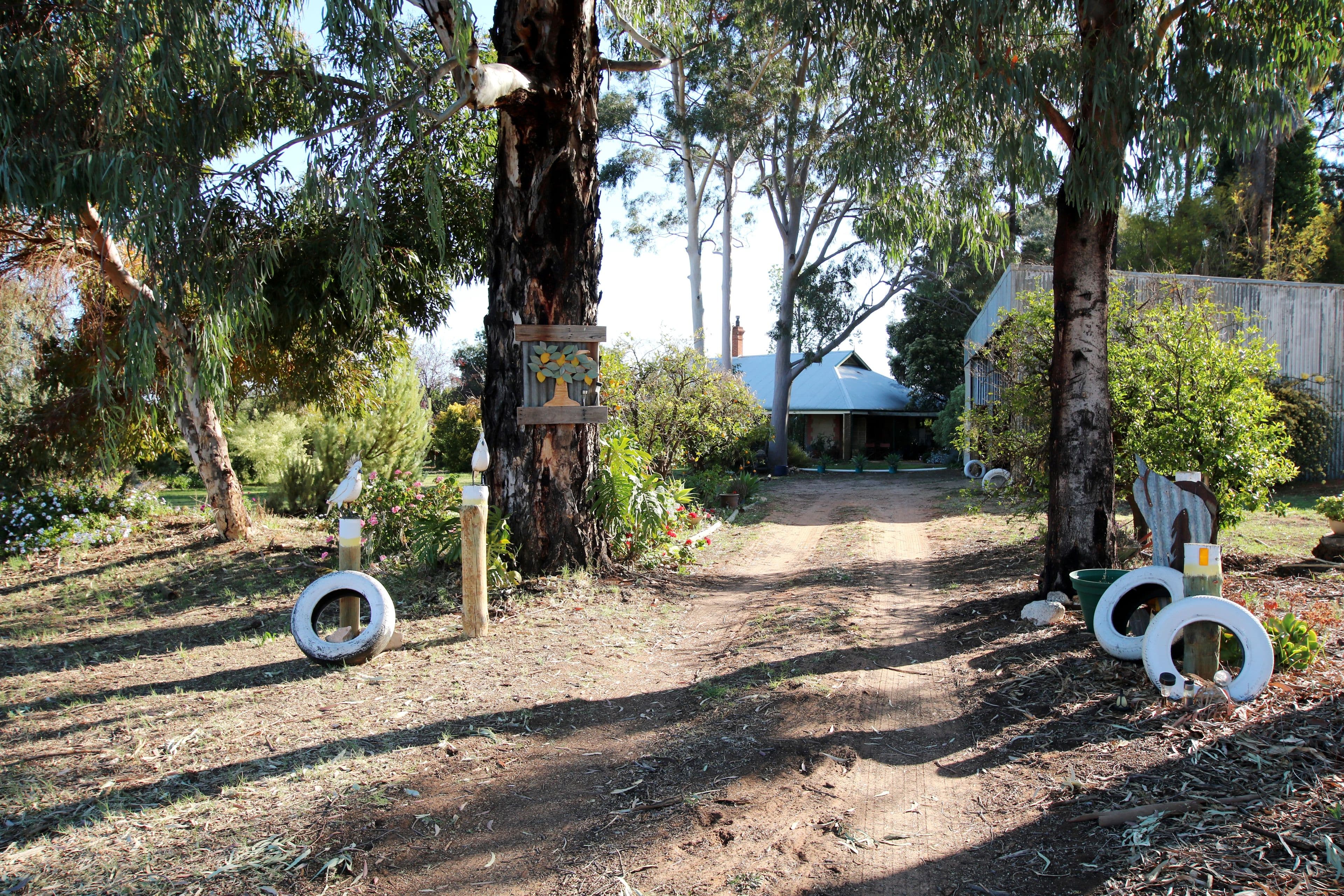 164 Tarcoola Street, Renmark SA 5341, Renmark West - Thumbnail 2