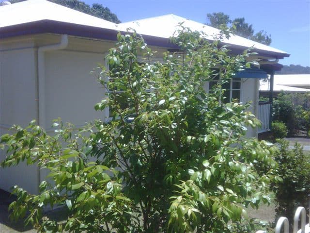 27 Hill Street, Woombye QLD 4559, Woombye - Thumbnail 5