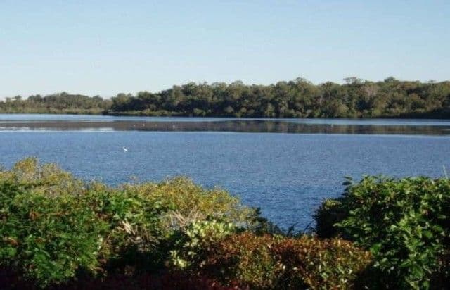 2 Sidoni Street, TEWANTIN QLD 4565, Tewantin - Thumbnail 4