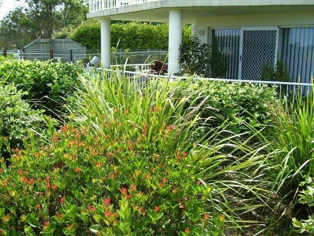 2 Sidoni Street, TEWANTIN QLD 4565, Tewantin - Thumbnail 6