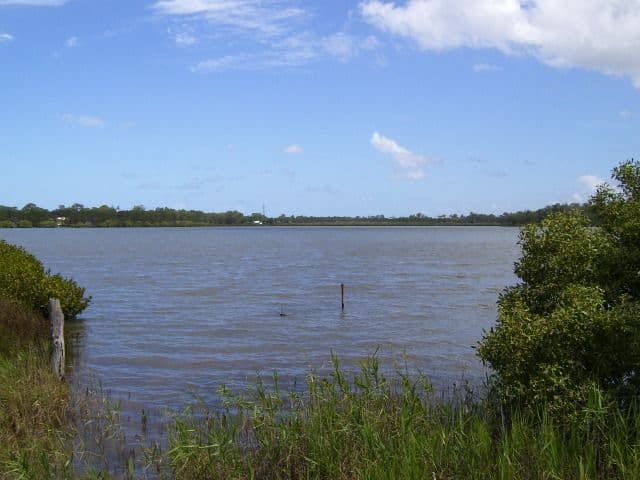 2 Sidoni Street, TEWANTIN QLD 4565, Tewantin - Thumbnail 8