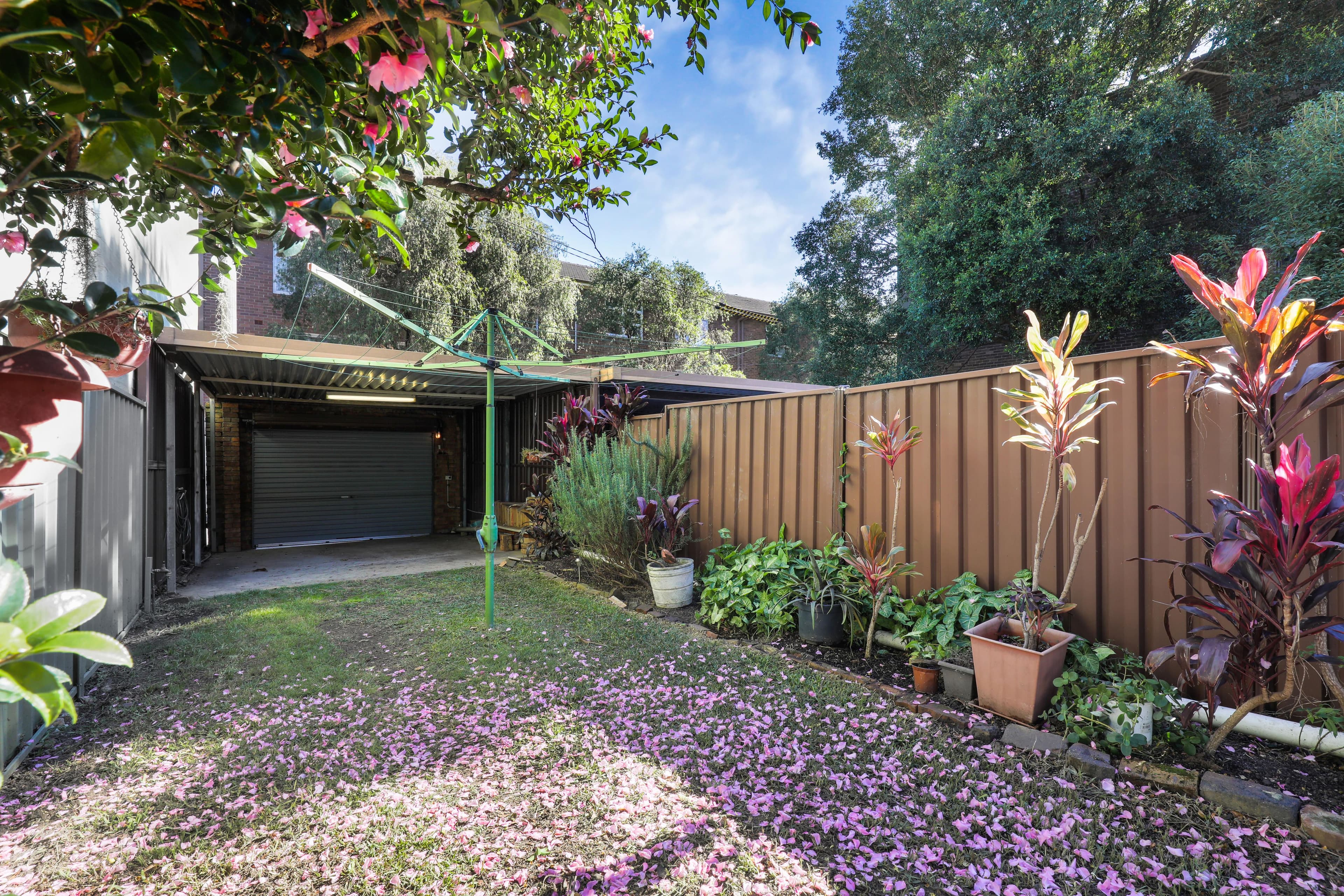 243 Bulwara Road, Ultimo NSW 2007, Ultimo - Thumbnail 6