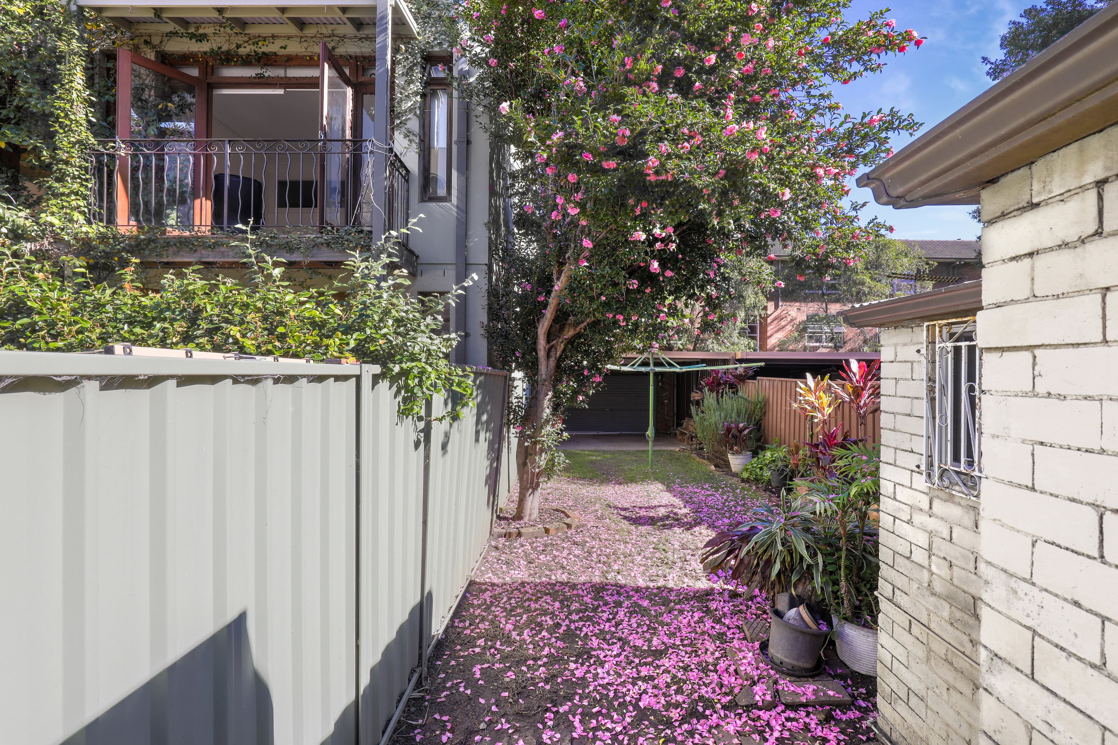 243 Bulwara Road, Ultimo NSW 2007, Ultimo - Thumbnail 7