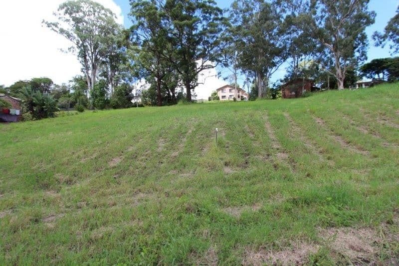 44 Hillcrest Avenue, Goonellabah NSW 2480, Goonellabah - Thumbnail 4