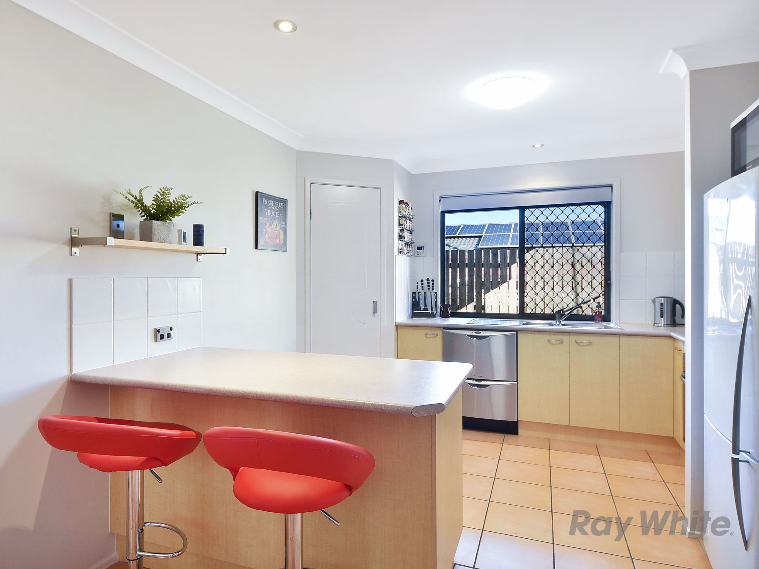 11 Ewan Place, Bracken Ridge QLD 4017, Bracken Ridge - Thumbnail 5
