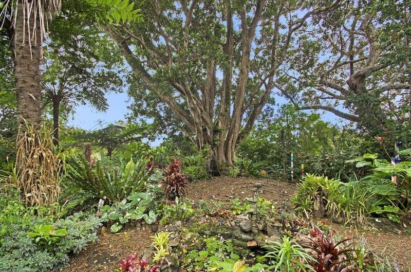 7 Middleton Road, MALENY QLD 4552, Maleny - Thumbnail 7