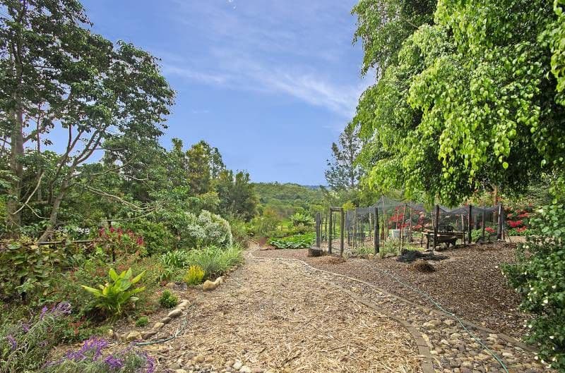 7 Middleton Road, MALENY QLD 4552, Maleny - Thumbnail 8