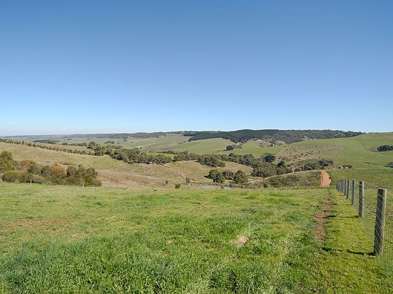 Lot 7 Old Bull Creek Road, MEADOWS SA 5201, Meadows - Thumbnail 3