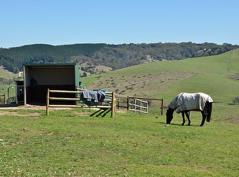 Lot 7 Old Bull Creek Road, MEADOWS SA 5201, Meadows - Thumbnail 5