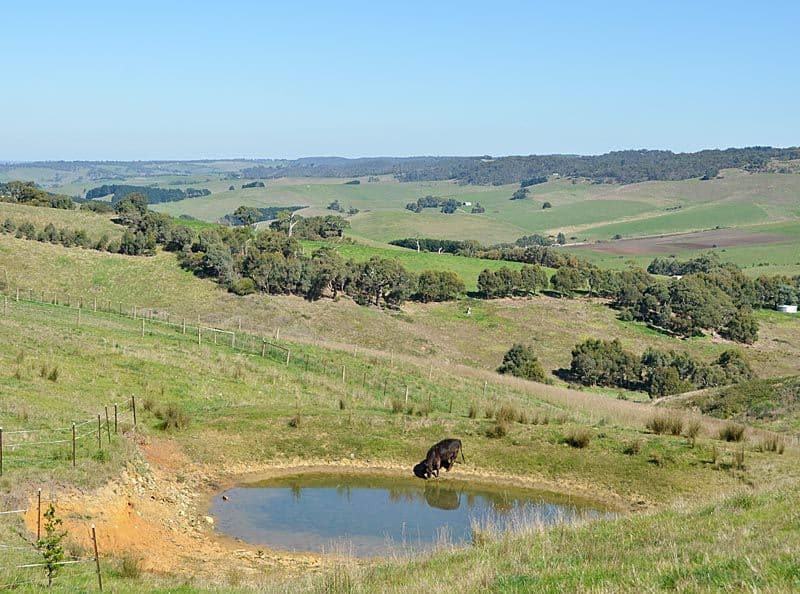 Lot 7 Old Bull Creek Road, MEADOWS SA 5201, Meadows - Thumbnail 6