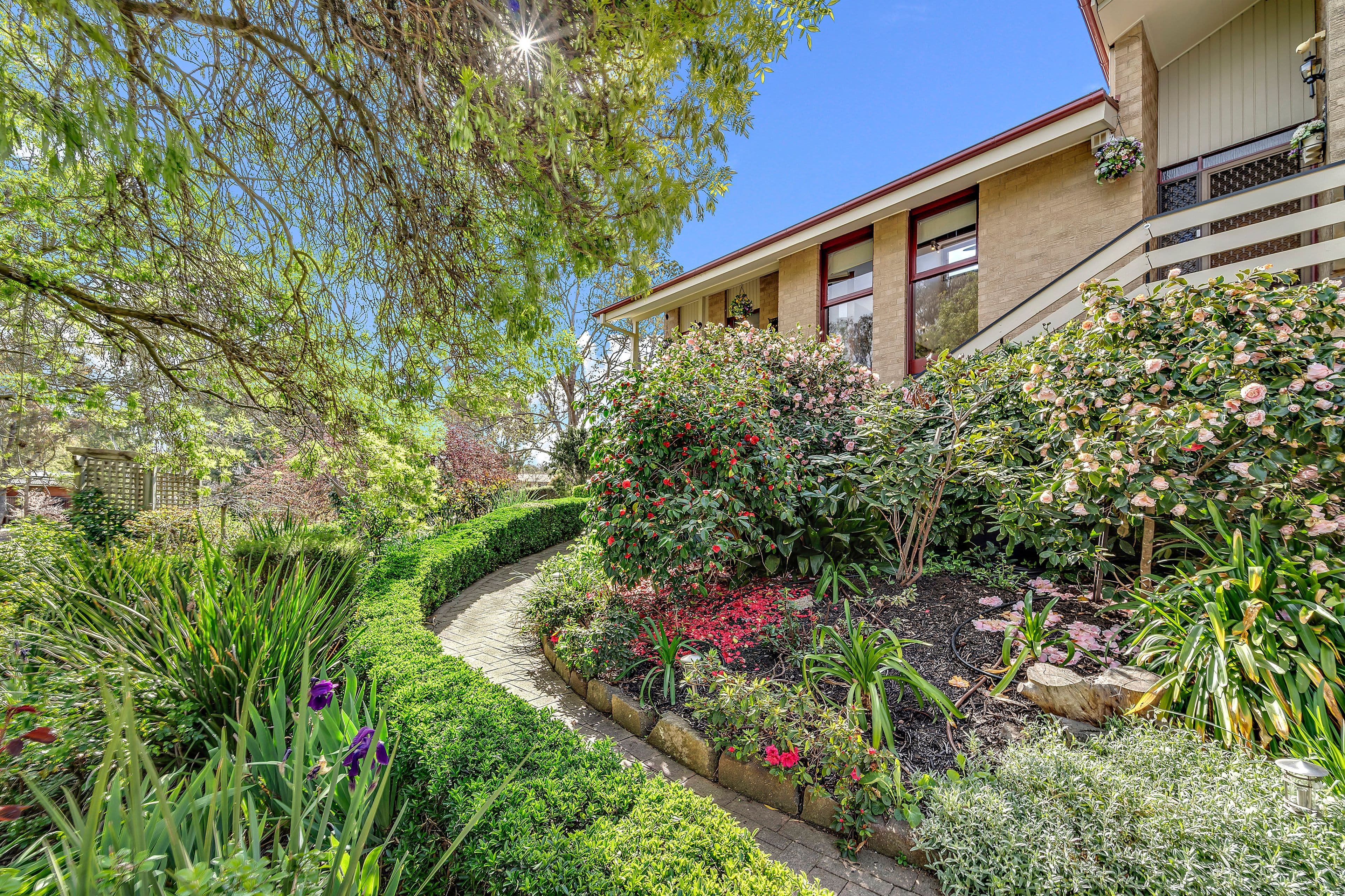 14 Sampson Close, Melba ACT 2615, Melba - Thumbnail 4