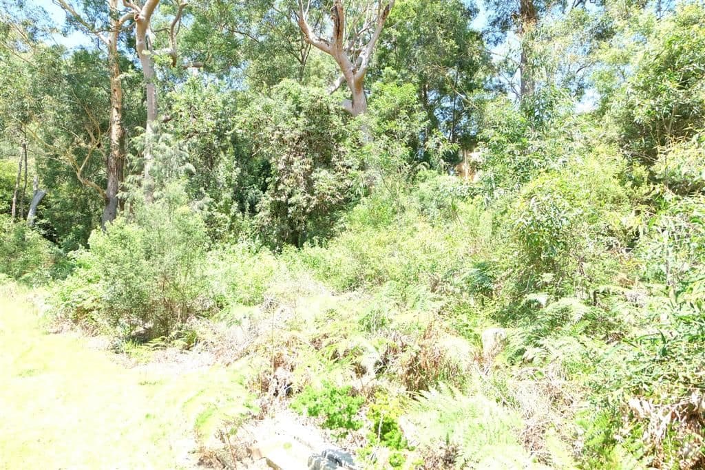 33 Tingara Road, Nelson Bay NSW 2315, Nelson Bay - Image 1