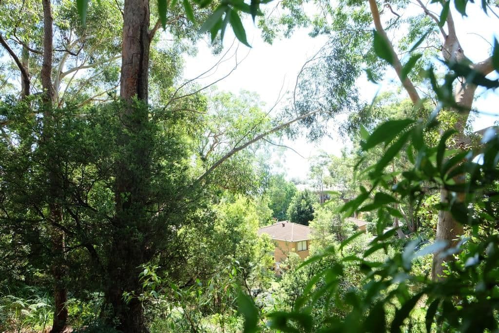 33 Tingara Road, Nelson Bay NSW 2315, Nelson Bay - Thumbnail 2