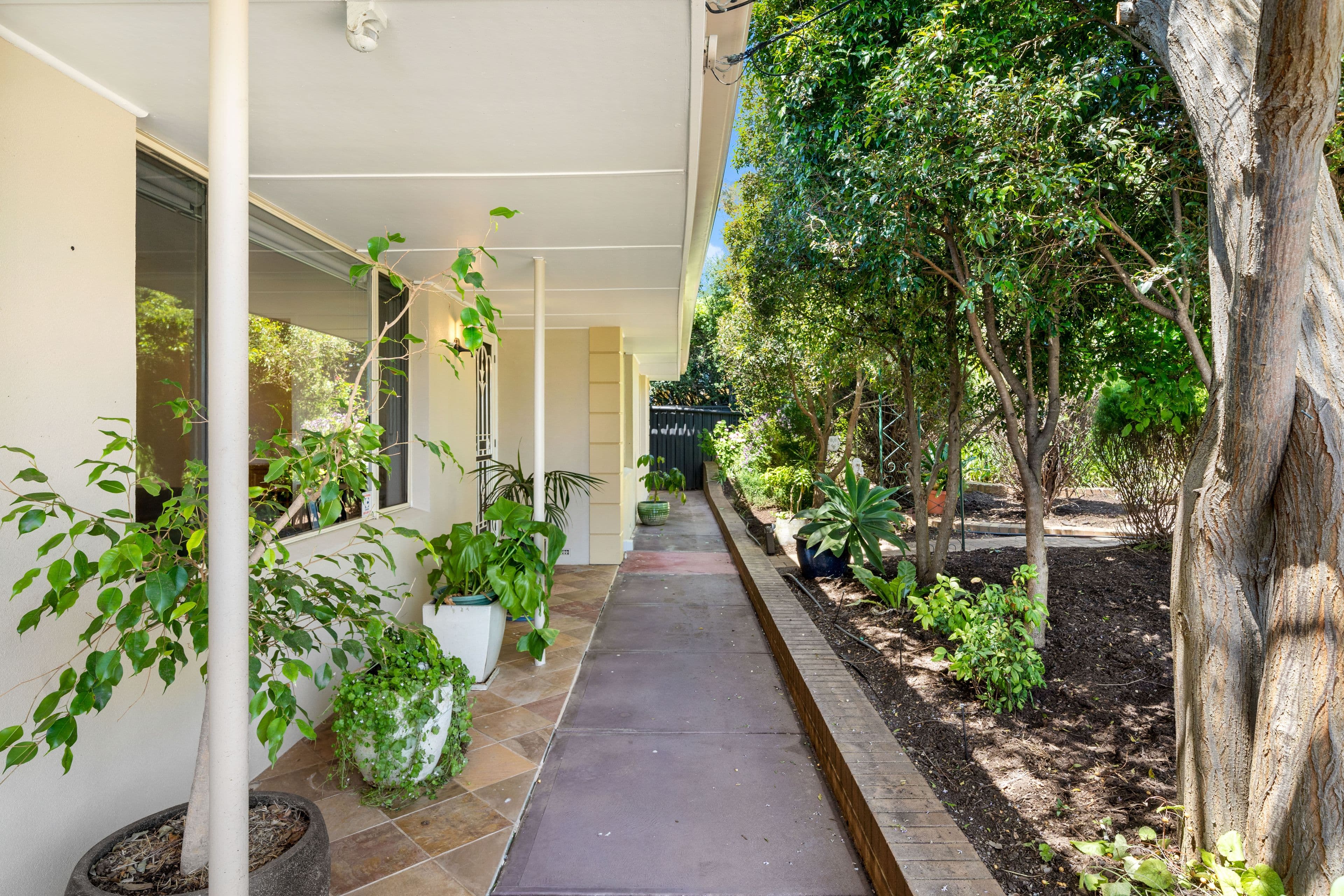 14 Ruby Street, Hope Valley SA 5090, Hope Valley - Thumbnail 3