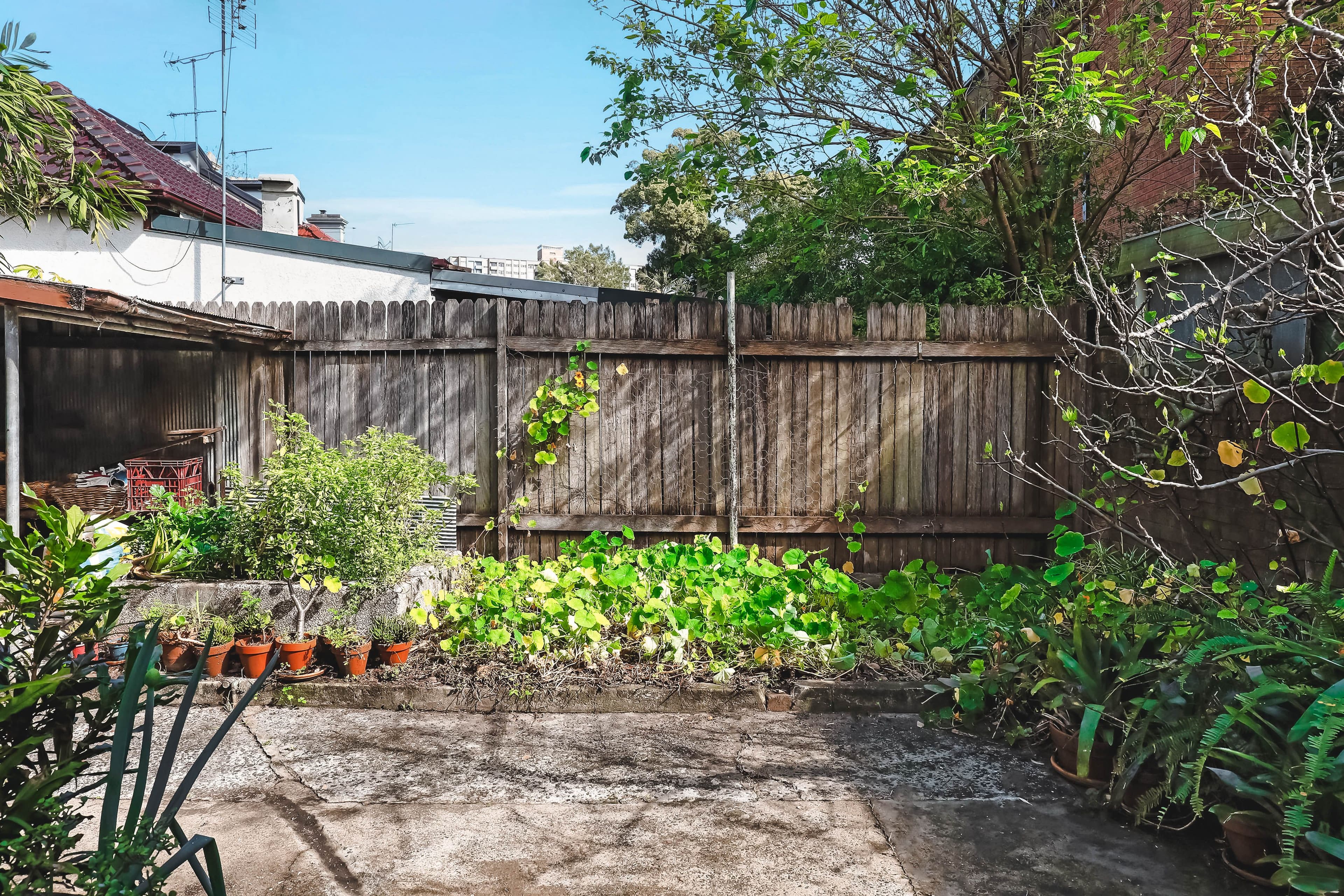 787 Bourke Street, Redfern NSW 2016, Redfern - Thumbnail 5