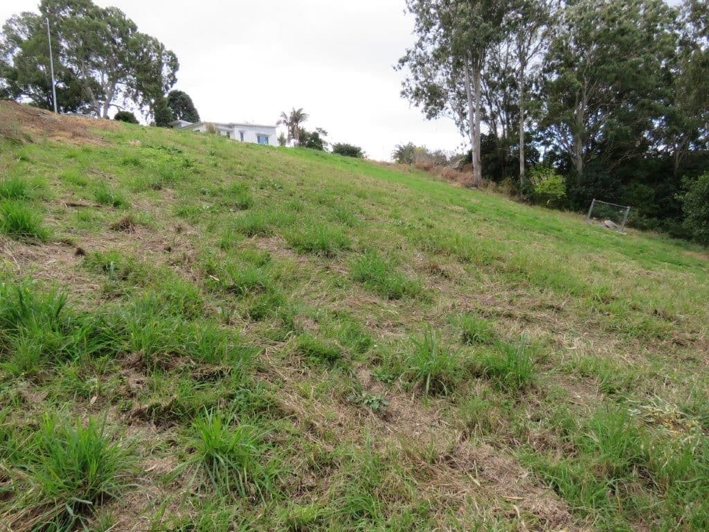 75 Hillcrest Avenue, Goonellabah NSW 2480, Goonellabah - Thumbnail 3