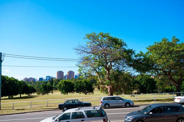 223 Darley Road, RANDWICK NSW 2031, Randwick - Thumbnail 2