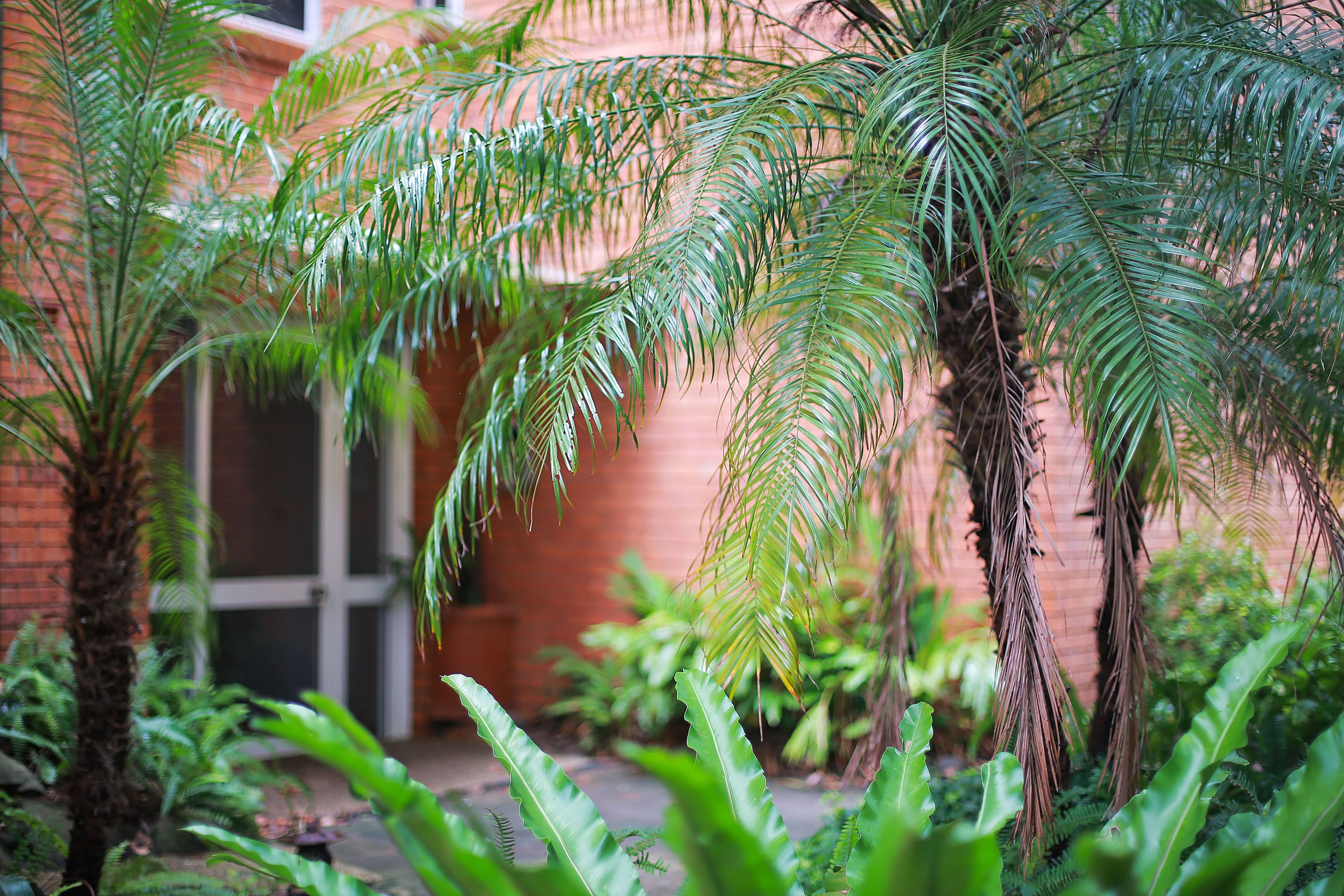 18-20 Harrow Road, Stanmore NSW 2048, Stanmore - Thumbnail 8