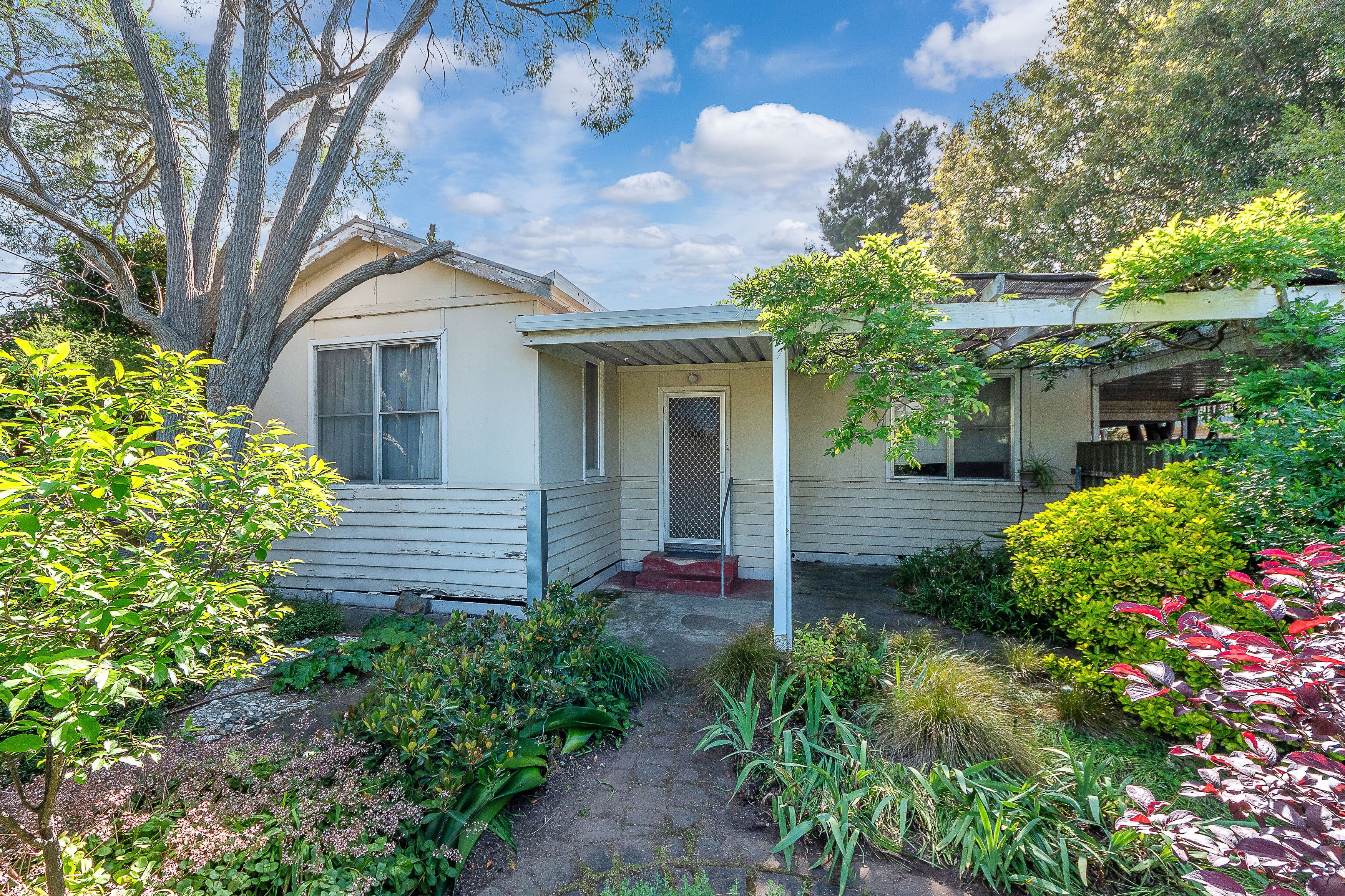 68 Boucaut Avenue, Klemzig SA 5087, Klemzig - Image 1