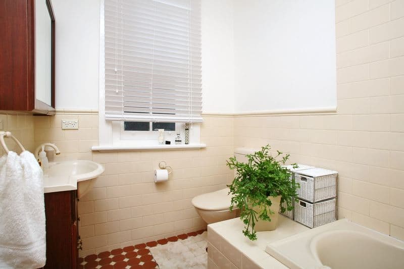5 Priory Road, WAVERTON NSW 2060, Waverton - Thumbnail 5
