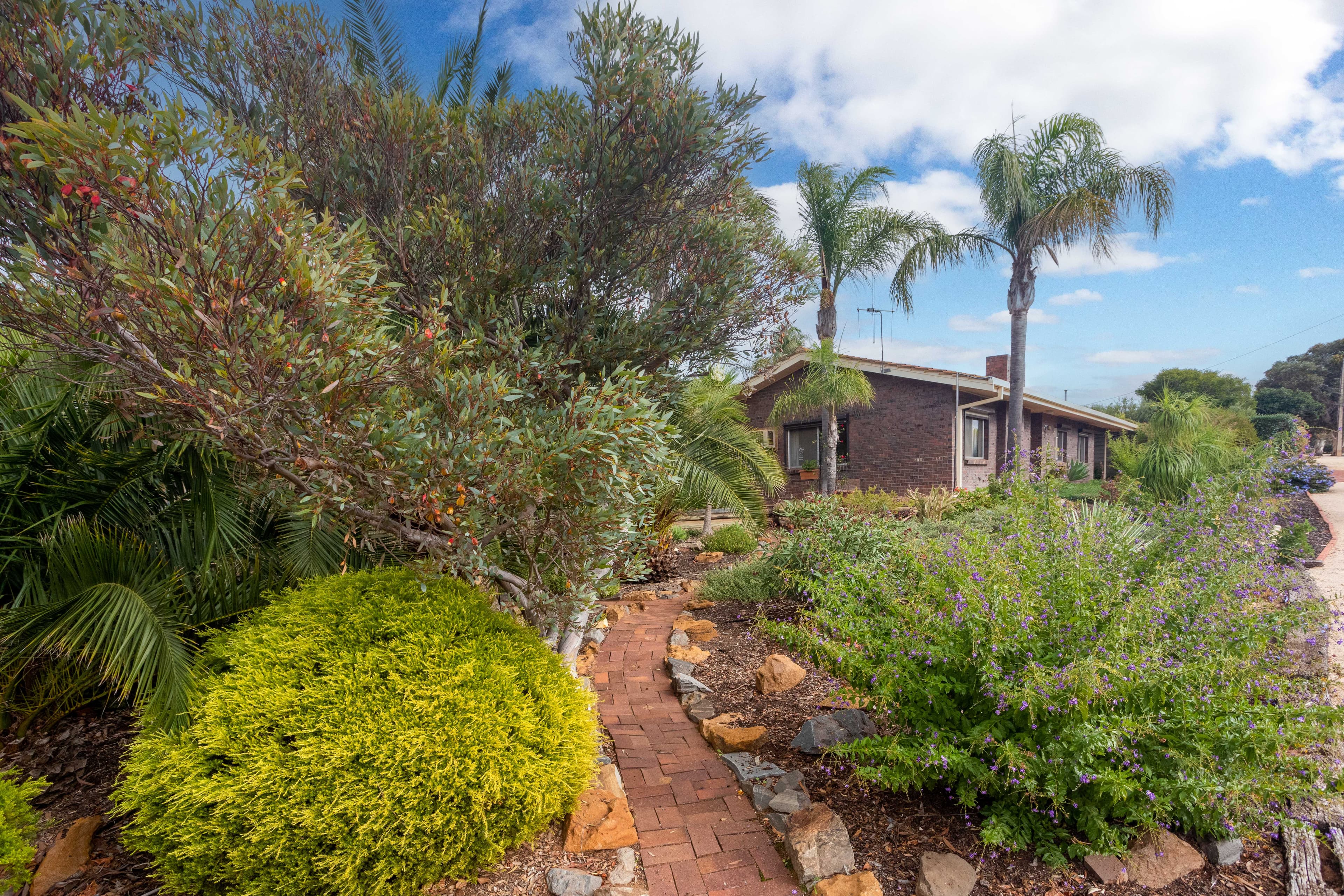 12 Tonkin Street, Loxton SA 5333, Loxton - Thumbnail 3
