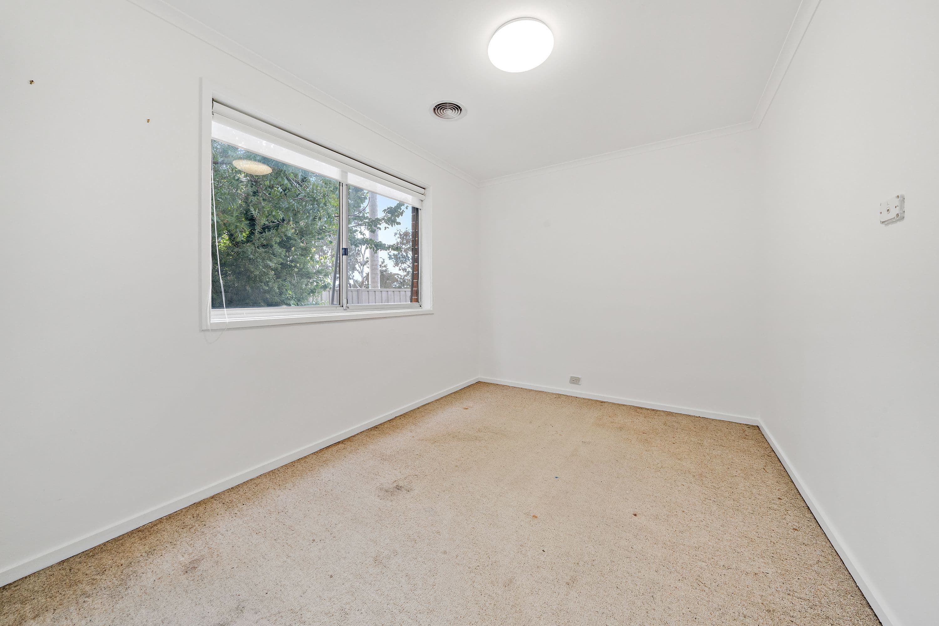 5 Tozer Place, Kambah ACT 2902, Kambah - Thumbnail 5