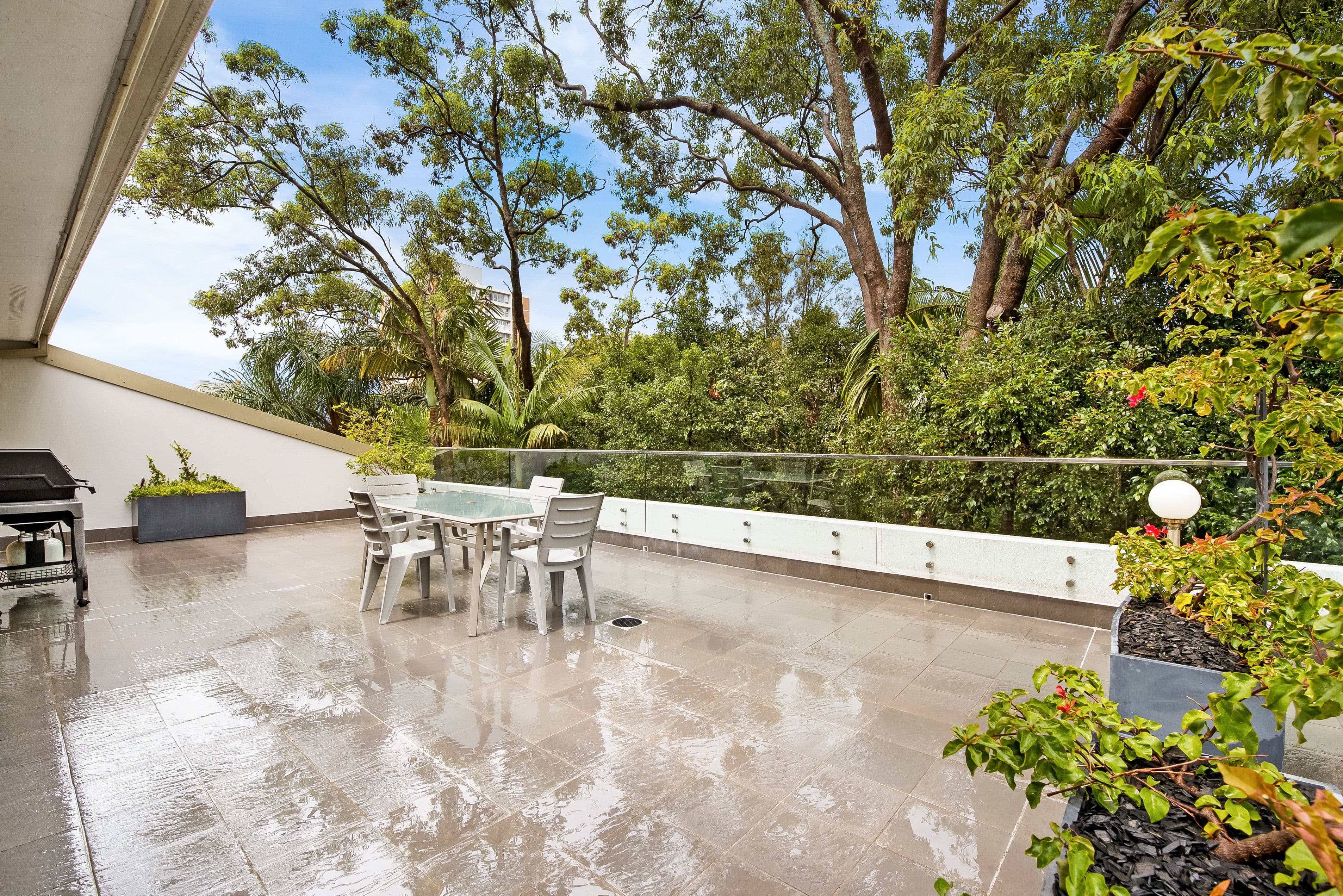 33 Rae Street, Randwick NSW 2031, Randwick - Image 1