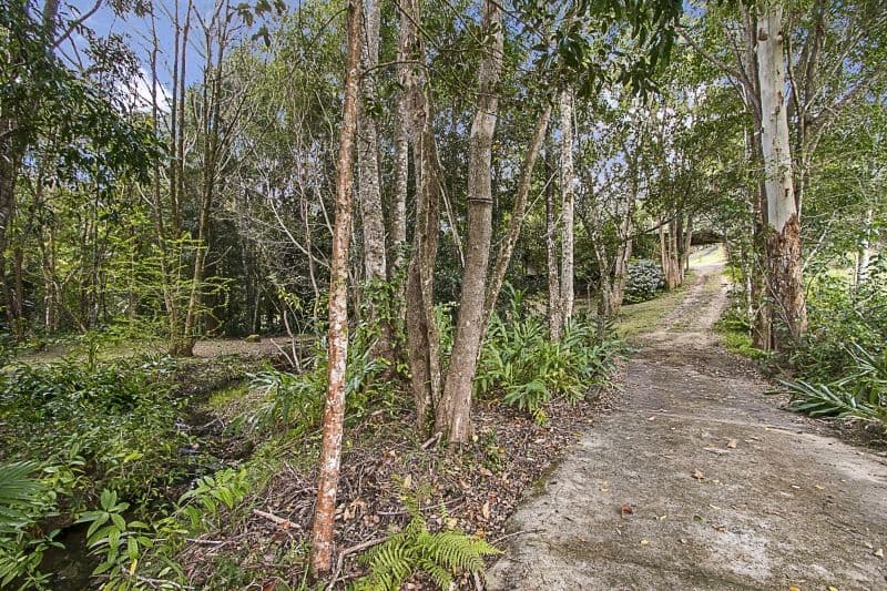 34 Chevell Place, Uki NSW 2484, Uki - Thumbnail 8