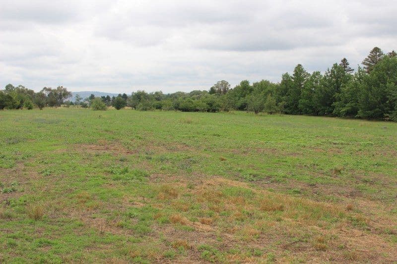 1825 Rockley Road, Bathurst NSW 2795, Bathurst - Image 1